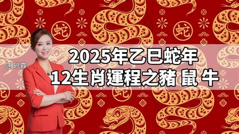 豬年運程|2025 肖豬流年運程 